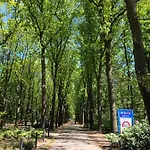 Vakantiehuis Specht Otterlo