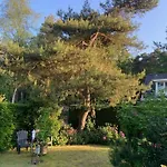 Specht