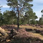 Specht Vakantiehuis Otterlo