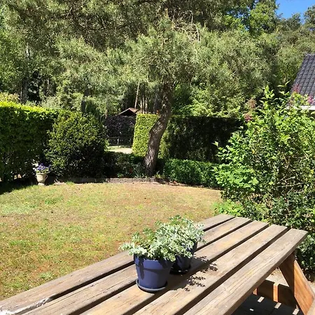 Specht Holiday home *