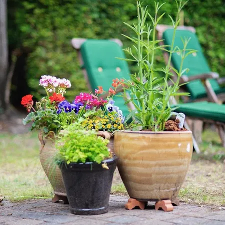 Holiday home Specht Otterlo