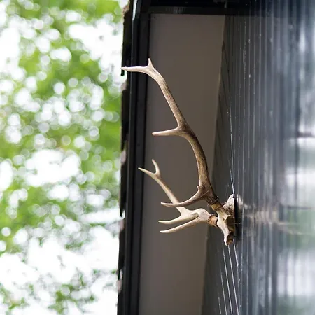 בית נופש Specht אוטרלו