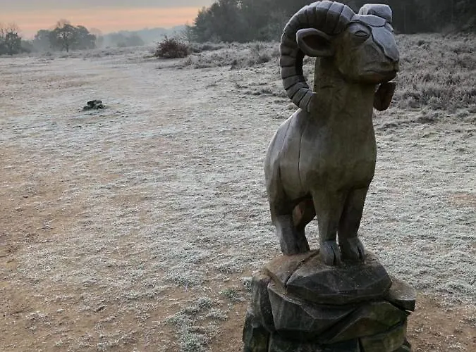 Specht בית נופש *