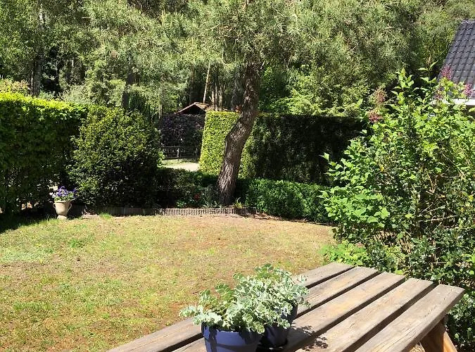 Specht בית נופש *