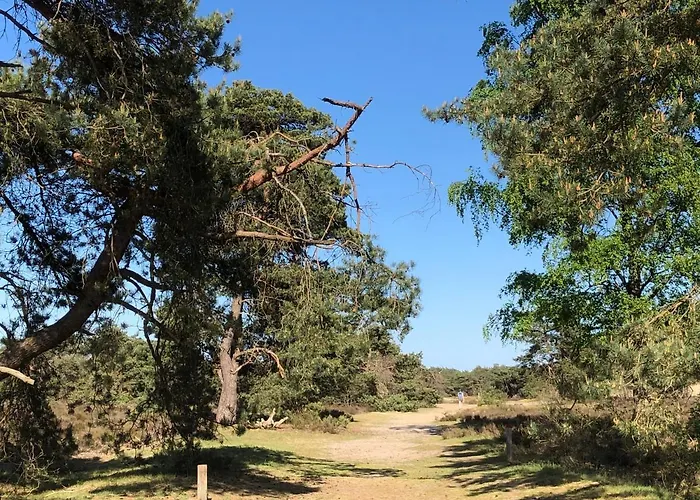 Specht Semesterbostad *