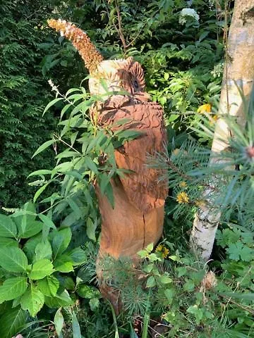 Specht * אוטרלו