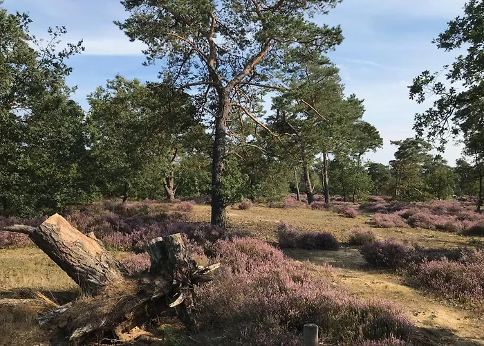 Specht Semesterbostad Otterlo