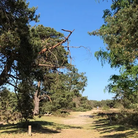 Specht בית נופש *