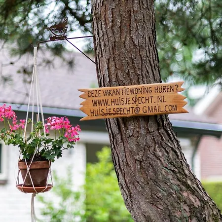 בית נופש Specht