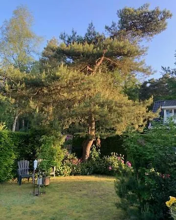Specht