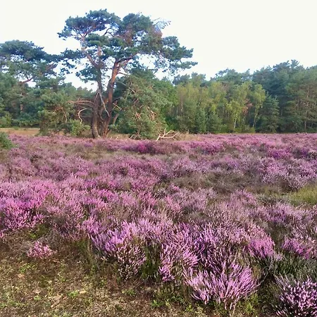 בית נופש Specht *