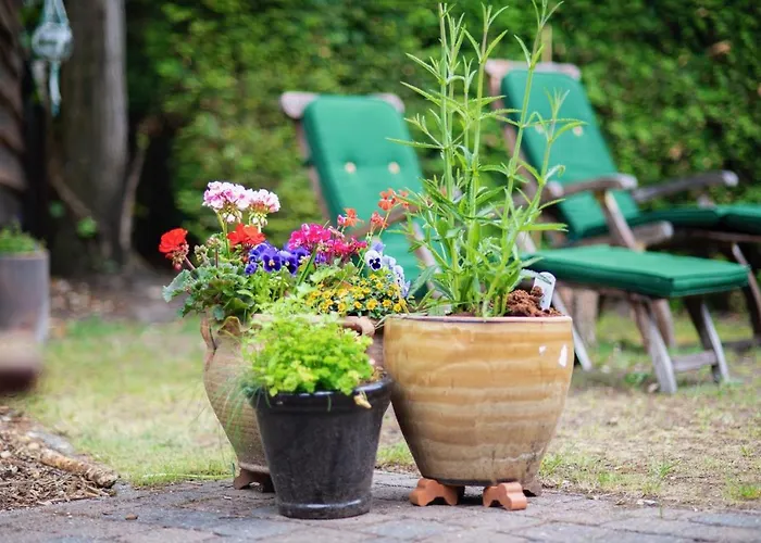 Σπίτι διακοπών Specht Otterlo