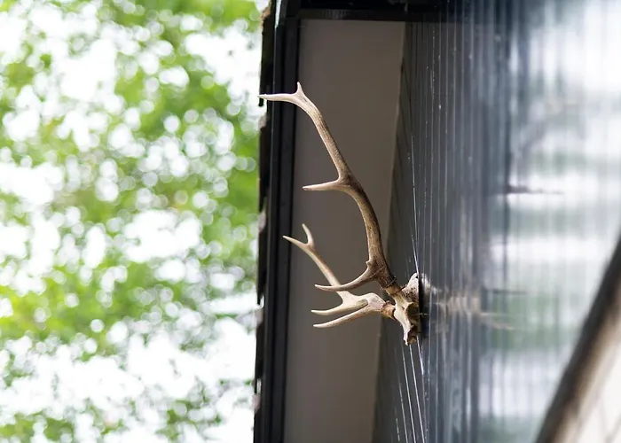 Σπίτι διακοπών Specht Otterlo