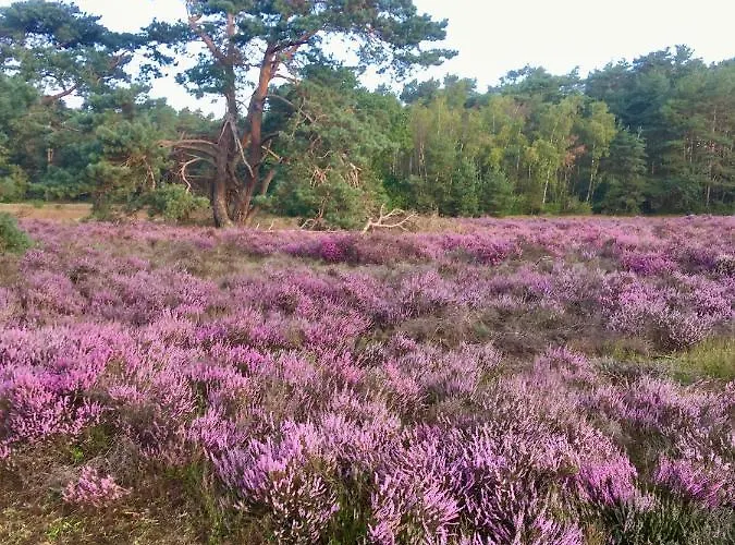 Σπίτι διακοπών Specht *